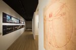 湯石照明樹林展示中心